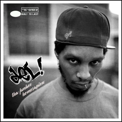 DEL THE FUNKY HOMOSAPIEN - Built To Last Mix